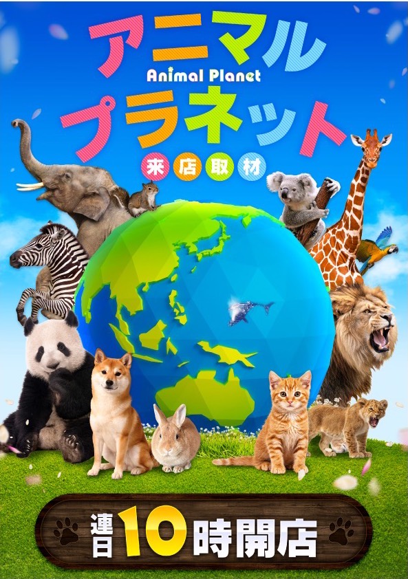 アニマルプラネット来店取材