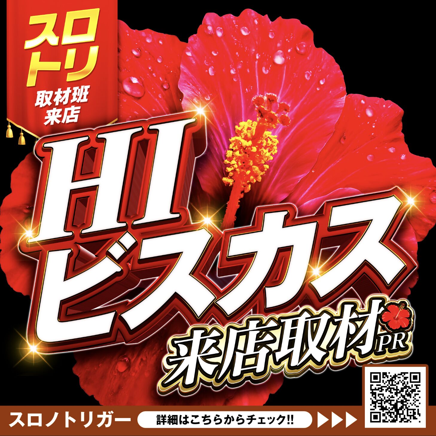 HIビスカス来店取材